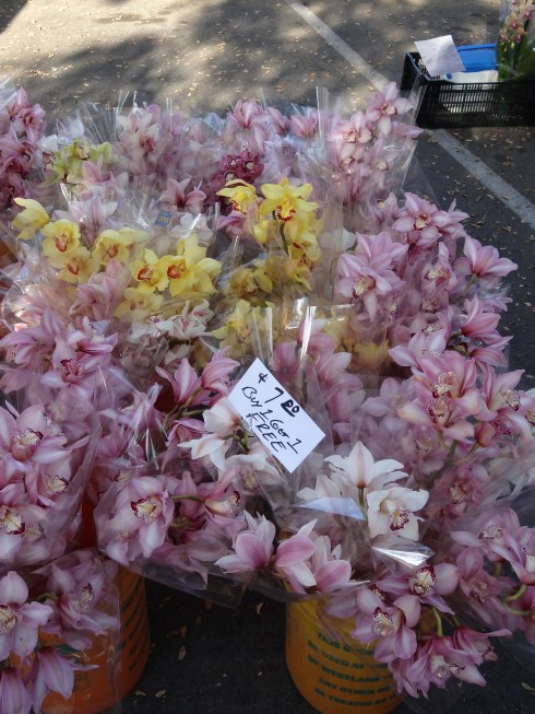 Orchids...Buy 1, get 1 Free