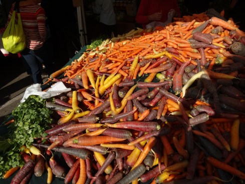 Carrots of different colors